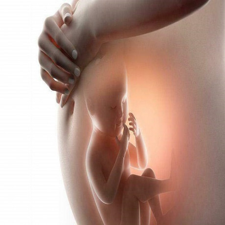 Gynae Medicine Manufacturer in India 1