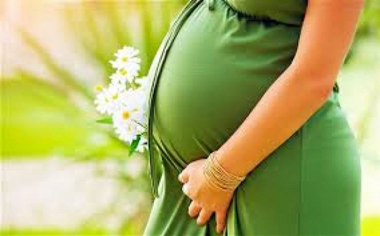 Gynae Range PD Pharma Franchise Company 1