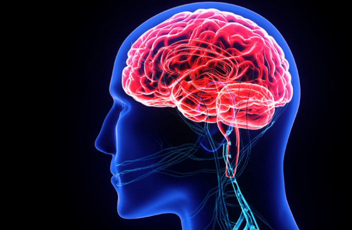 Neuro Psychiatric PCD Pharma Company 1