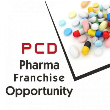 Chandigarh Based Allopathic Pcd Pharma Franchise 1