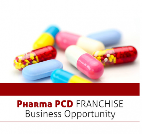 Top 10 Pcd Pharma Franchise Companies In Baddi 1