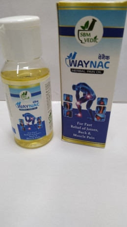 Best Ayurvedic PCD Company In India 1