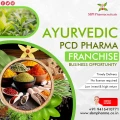 Top Ayurvedic Manufacturer in India 1