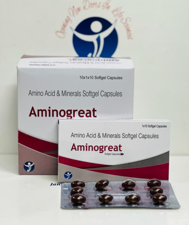 PCD franbhise & third party product distrubutors Amino acid & minerals softgel capsules 1