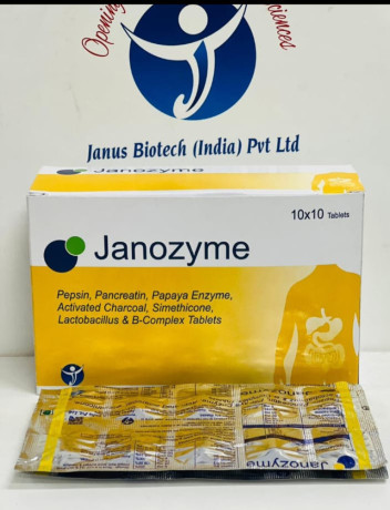 PCD FRANCHISE & THIRD PARTY MANUFACTURE DISTRIBUTORS, PEPSIN,PANCREATIN, ACTIVATED CHARCOAL, SIMETHICONE, LACTOBACILLUS & B- COMPLEX TABLETS 1