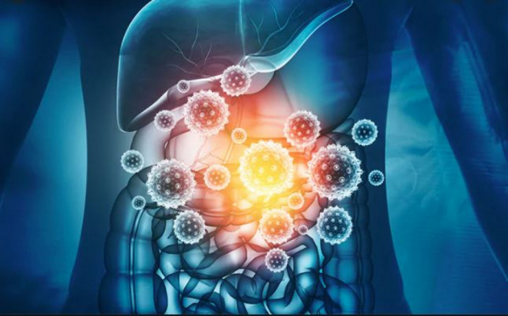 Pcd Pharma Franchise Company for Gastro Medicine 1