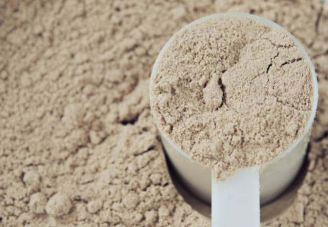 PCD Pharma Franchise For Protein Powder 1