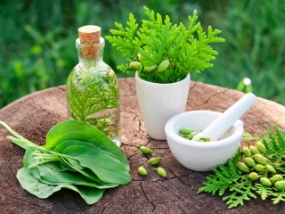 Herbal Range Products PCD Franchise Company