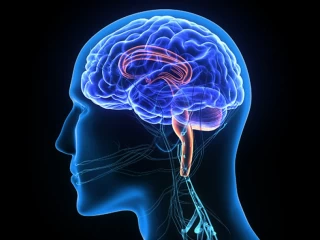 Third Party Manufacturers for Neuro Range