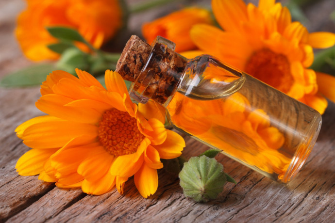 Herbal Ayurvedic Company 1