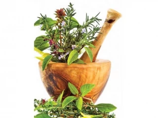 PD based Pharma Franchise Company for Ayurvedic Range