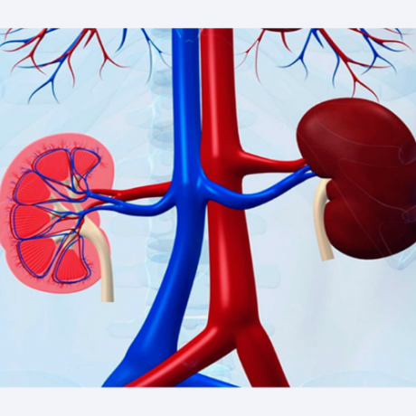 Pharma Franchise Company for Urology Range 1