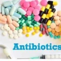 Antibiotics Medicine