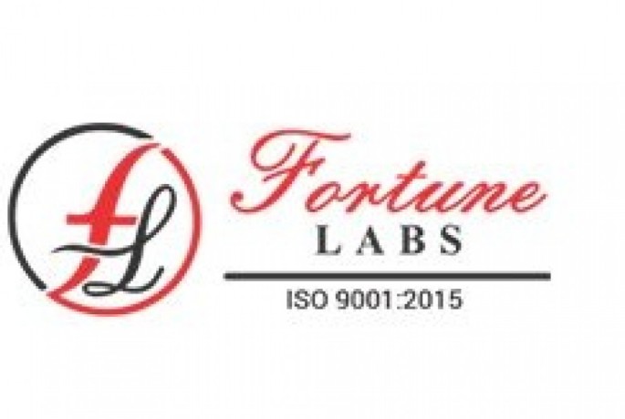 Fortune Labs