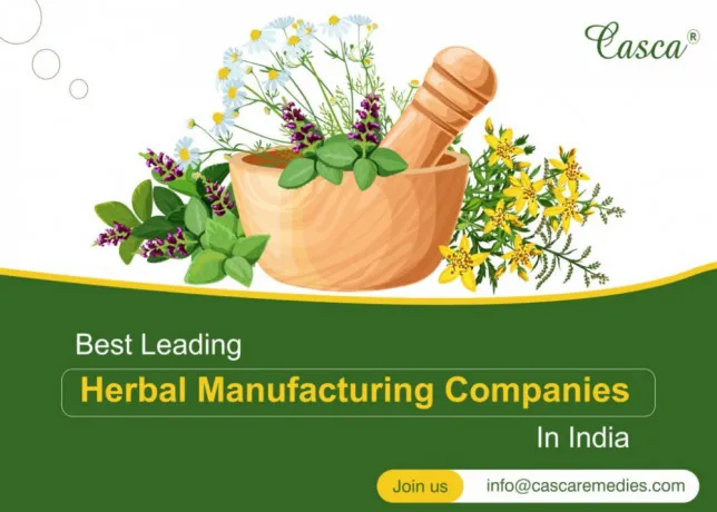 Third Party Manufacturing in Ayurvedic Medicines 1