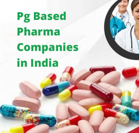 PG Based Pharma Company Franchise 1