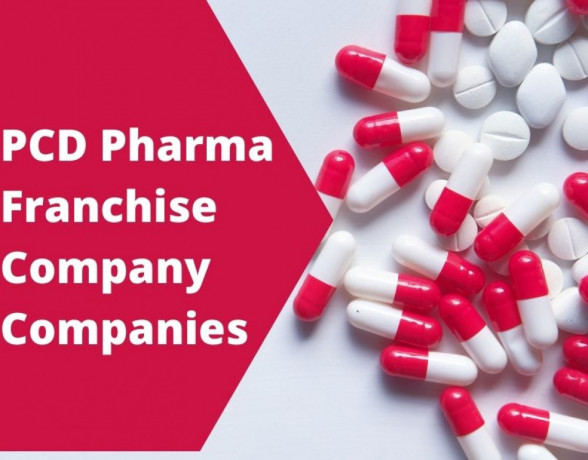 PCD Pharma Franchise Company Companies 1