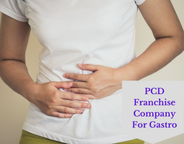 PCD Franchise Company For Gastro 1