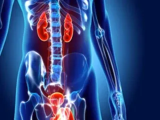 Best Urology Products Manufacturers Companies In India