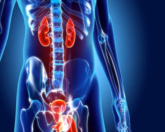 Best Urology Products Manufacturers Companies In India 1