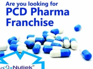 PCD Pharma Franchise Company In India