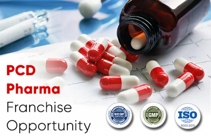 Pharma Franchise Company 1