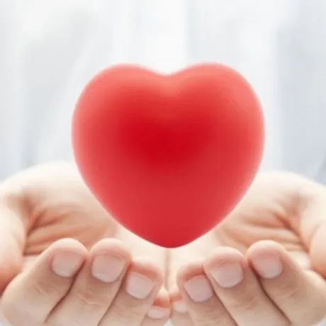 Cardiac Diabetic Franchise Company 1