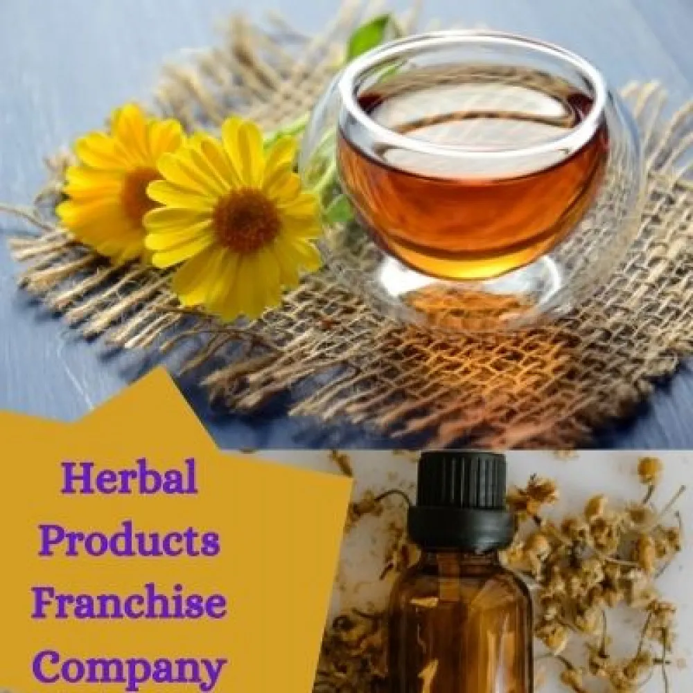 Ayurvedic Medicine Company in India