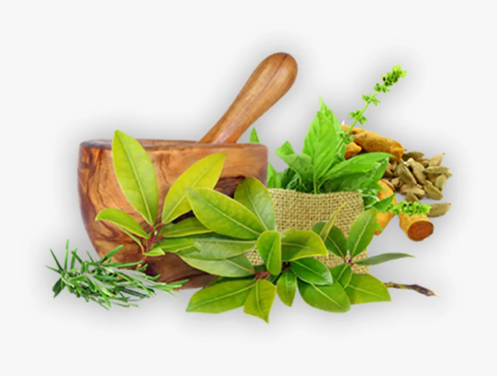 Franchise Classical Ayurvedic Company