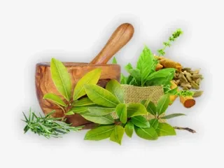 Franchise Classical Ayurvedic Company