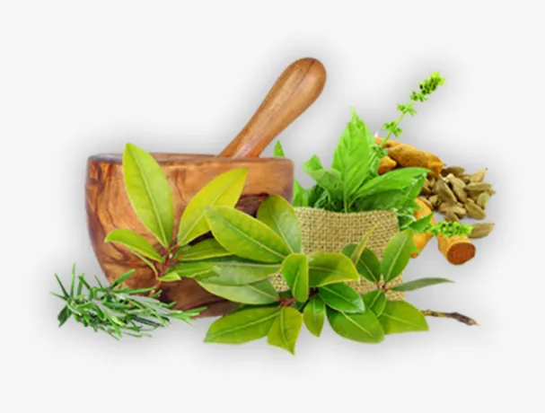 Franchise Classical Ayurvedic Company 1