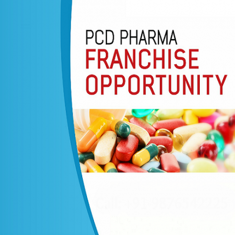 PCD Pharma Monopoly Based Franchise Company 1