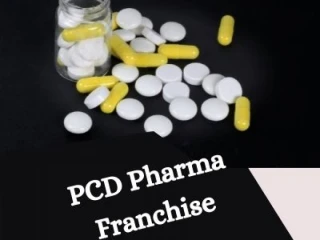Top PCD pharma franchise companies in India