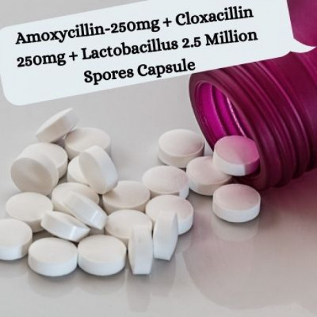 Amoxycillin-250mg Cloxacillin 250mg Lactobacillus 2.5 Million Spores Capsule Distributors 1