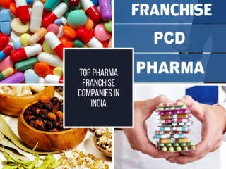 Pharma Franchise Company