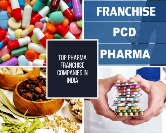 Pharma Franchise Company 1