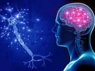 Neurology Range Pharma Company