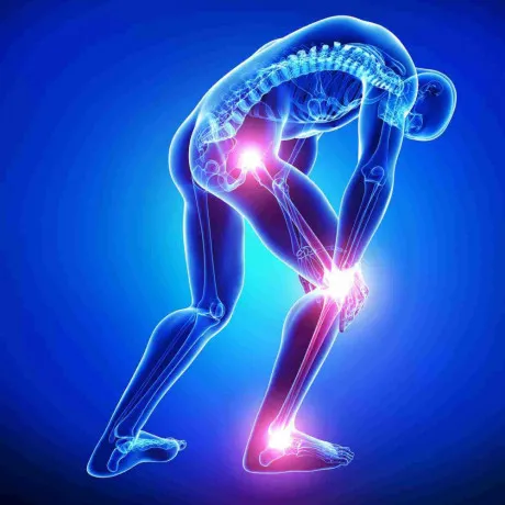 Orthopedics Range PCD Franchise Company 1