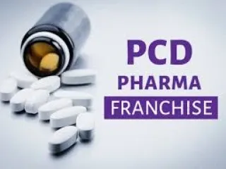 Top Pharma Franchise Companies in India