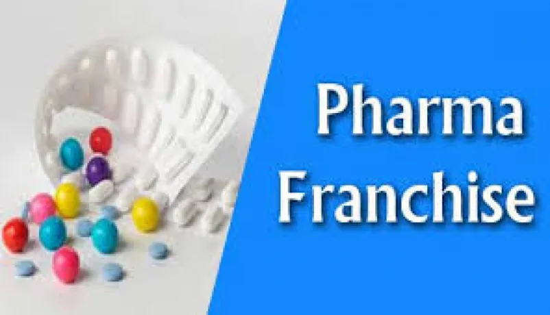 Top Pharma Franchise Companies in India 1