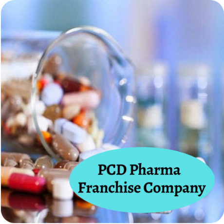 Indian Pcd Pharma Companies 1