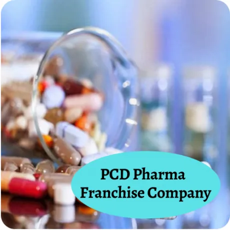 Indian Pcd Pharma Companies 1