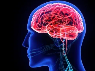 Neuro Psychiatric PCD Pharma Company