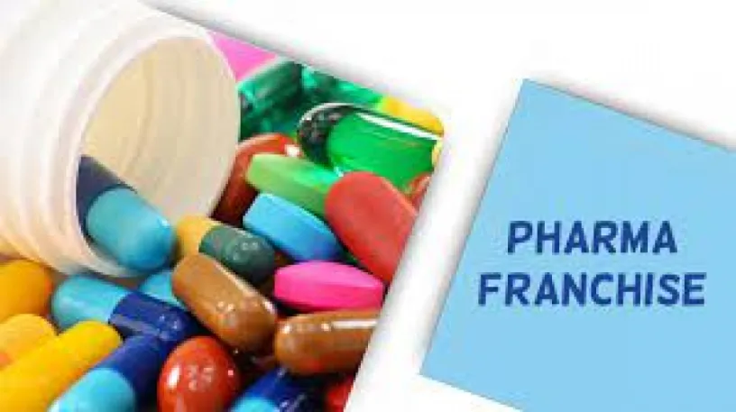 Best Pharma Franchise Company in India 1