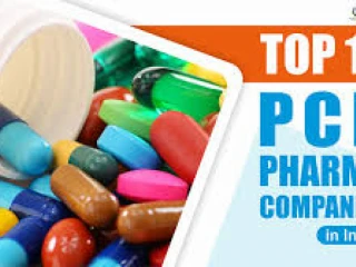 Franchise For Pharmaceutical Companies in Panchkula