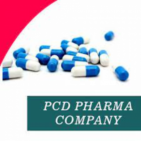 Panchkula Based PCD Pharma Franchise Monopoly Basis 1
