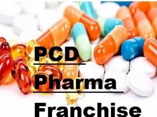 Haryana Based Medicine Franchise Company List