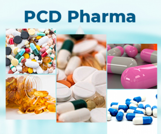 Pcd Pharma Franchise Generic Medicine in Baddi 1