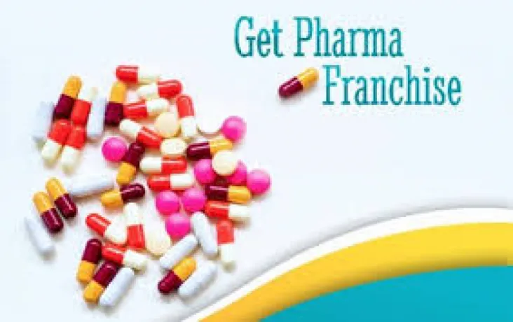 Panchkula Based Pharma Franchise Company in India 1