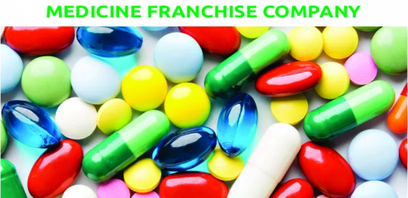 Chandigarh based Pcd Injectable Companies 1
